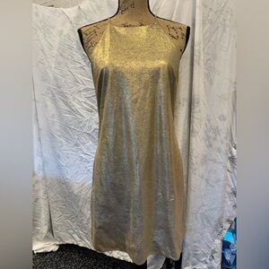 Halston Heritage Beige Slip Dress with Gold Trim